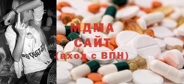 индика Алексин
