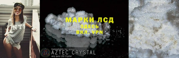 индика Алексин