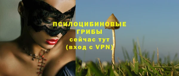 прущая мука Каменка