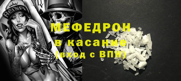 индика Алексин