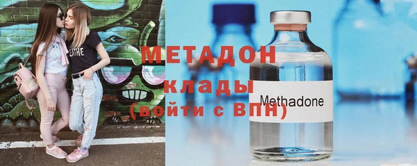 индика Алексин