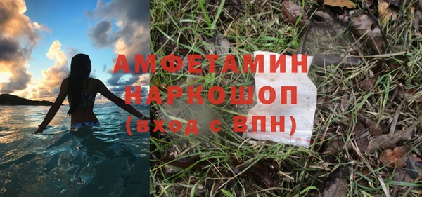 индика Алексин