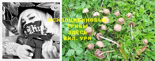 индика Алексин