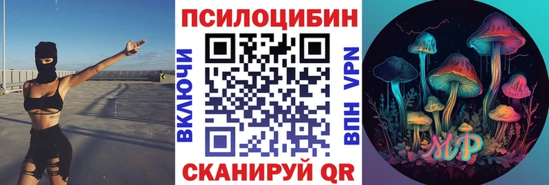 купить  цена  Рошаль  Псилоцибиновые грибы Cubensis 